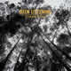 Johnny Flynn - New Album